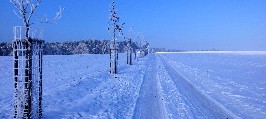 zima-2016-vaclav